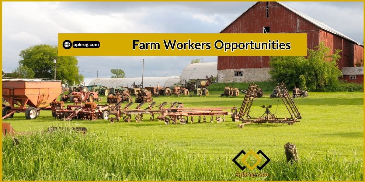 Farm Workers Opportunities are announced in many overseas countries by recruiting agencies. They are hiring the expert farm workers